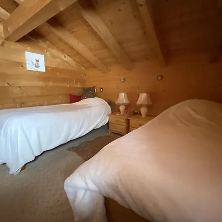 Savoyard Avec Wifi, Proche Pistes De